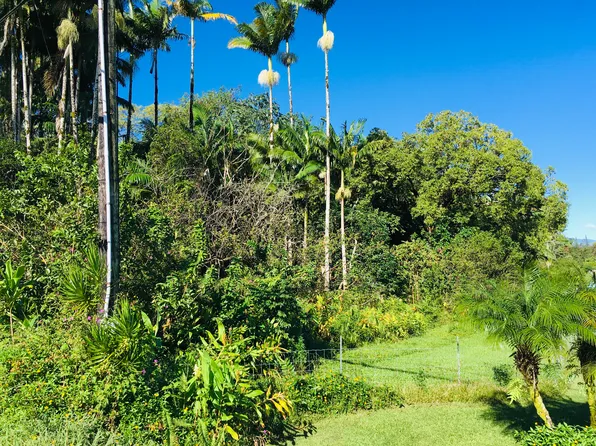 17-701 Ala Rd, Mountain View, HI 96771