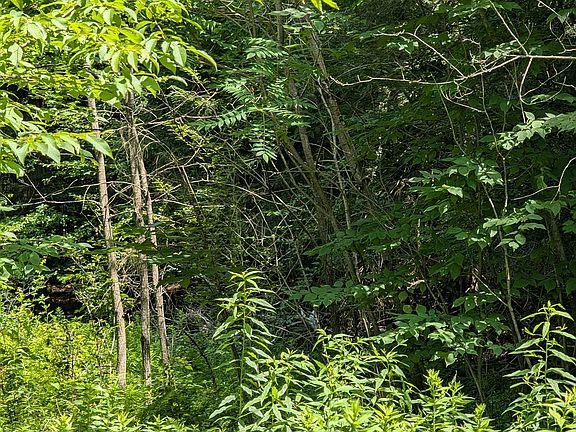 4th image of 0 Jemison Rd