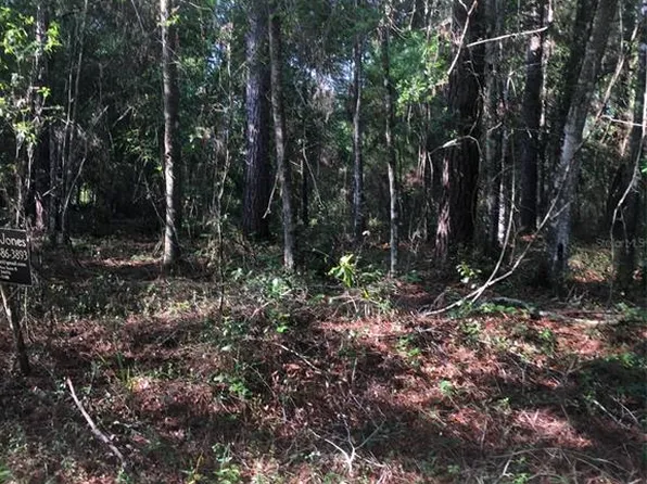LOT 9 SE 100th Pl Lot 9, Ocklawaha, FL 32179