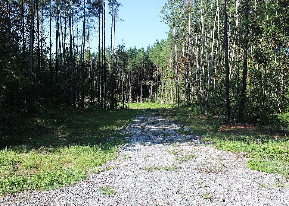1st image of 16173 Pug Swamp Ln