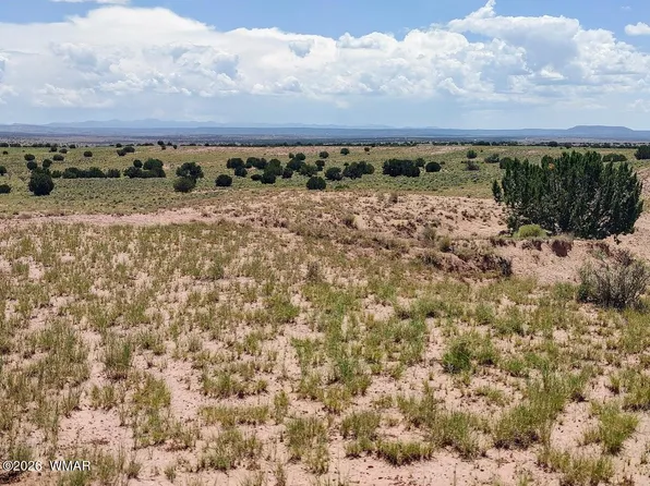 LOT 214 River Meadows Rnch, Concho, AZ 85924
