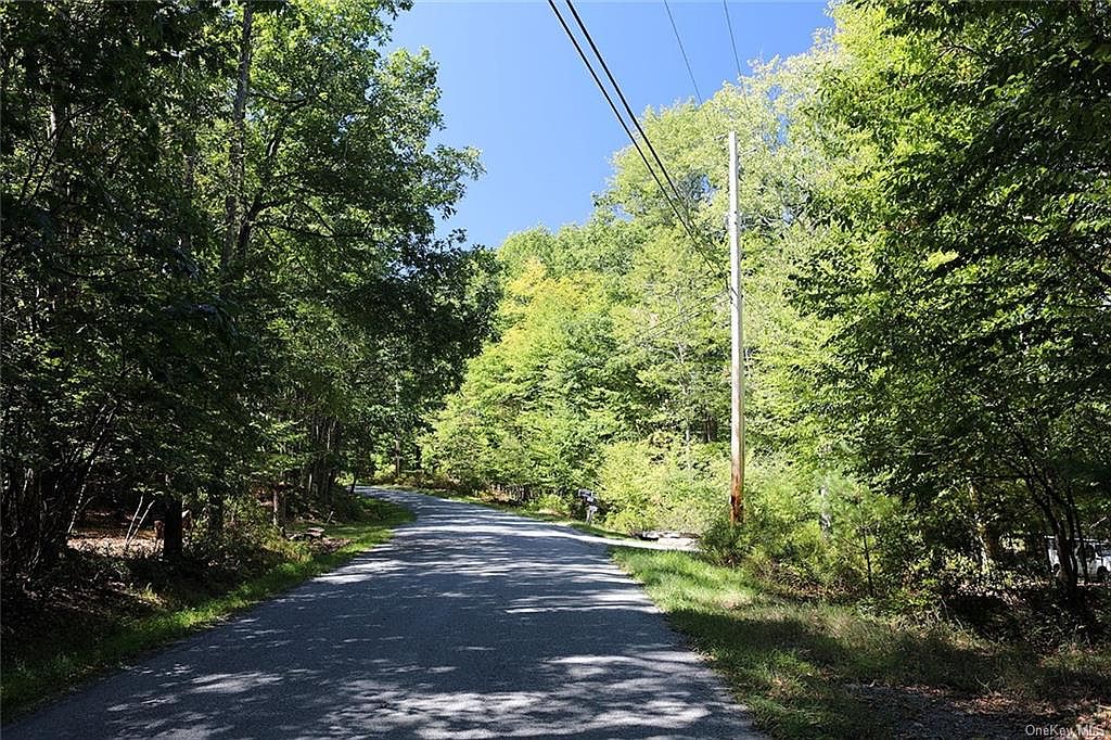 0 New Turnpike Road, Callicoon, NY 12723 Zillow