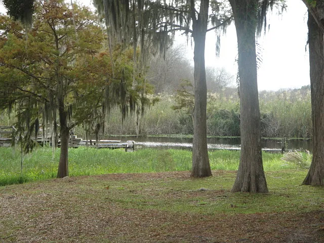 1 bed, 1.0 bath, 706 sqft, $1,330 — Photo 4