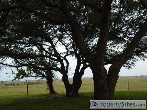 3rd image of 5040 County Road 142