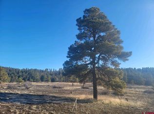 679 Trails Blvd, Pagosa Springs, CO 81147