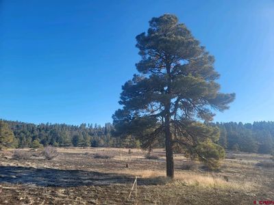 679 Trails Boulevard, Pagosa Springs, CO, 81147