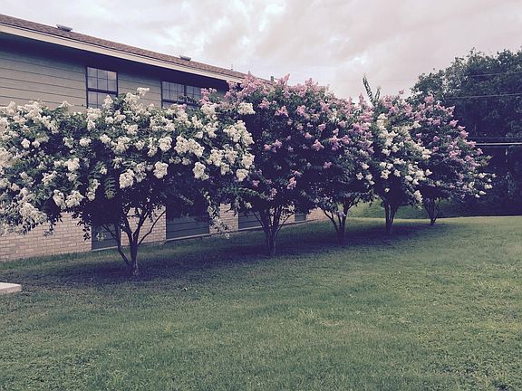 5th image of 102 Lady Bird Ln