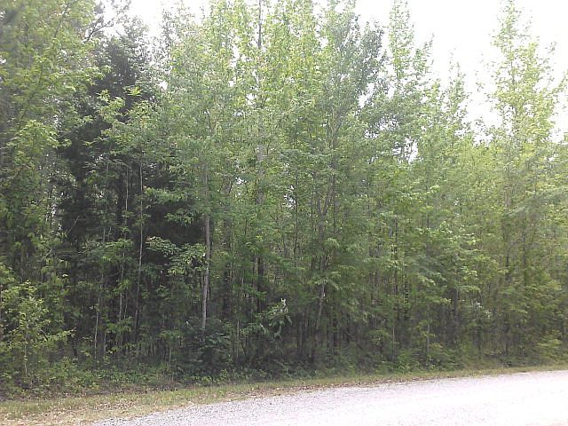 2nd image of Lynn Ln