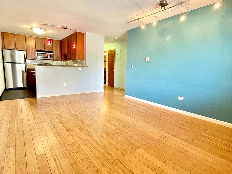 1231 N Downing St #203 — Photo 3