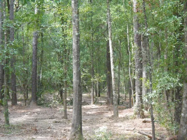 Mitchell Rd, Ponchatoula, LA 70454