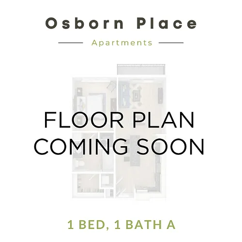 Floor plan 1 Bed - 1 Bath A