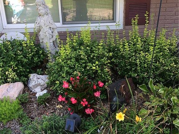 5th image of 789 Cransberry Dr
