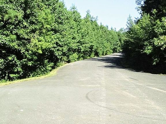 4th image of Ellis Mountain Cv
