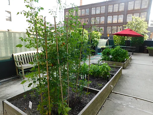 Rented by LCOR (Property Manager) | media 17