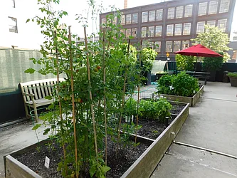 Rented by LCOR (Property Manager)