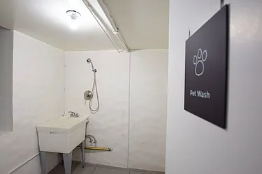 Rented by New Holland Residences