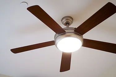 Rented by Easy Rental LLC