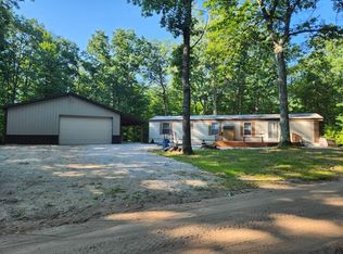 149 W Runway Dr, Luther, MI 49656
