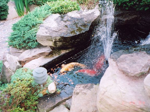 Pond in Front Yard