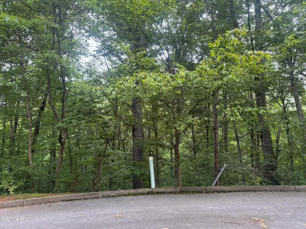 Lots 12 14 Saddle Spur Way, Sevierville, TN 37862