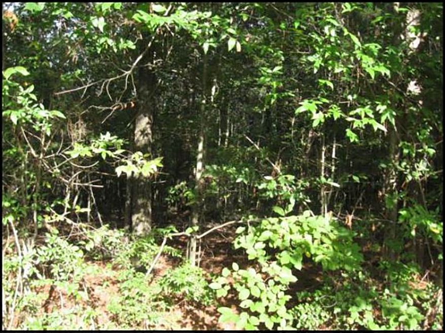 0 Magnolia Rd, Clinton, MS 39056 Zillow