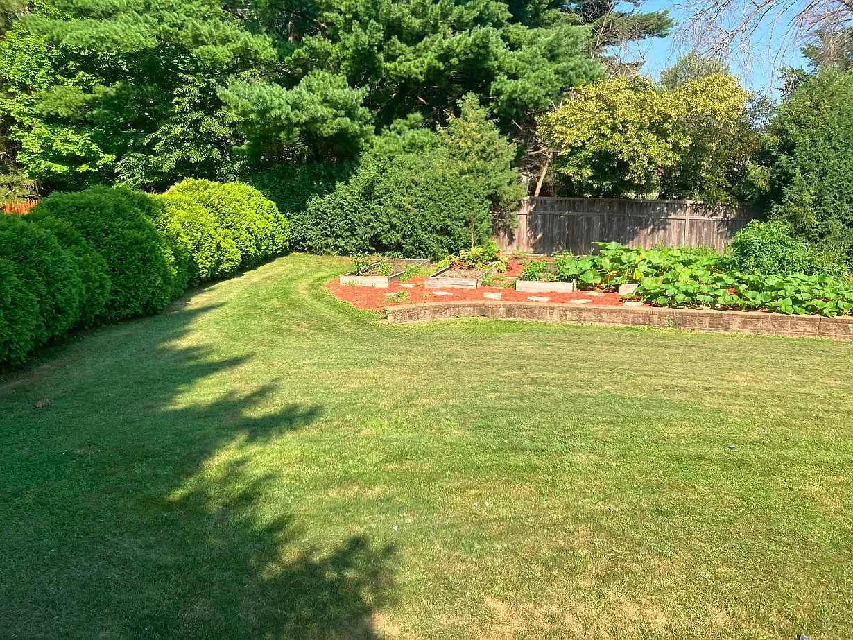 4 bed, 2020 sqft, $3,000 — Photo 3