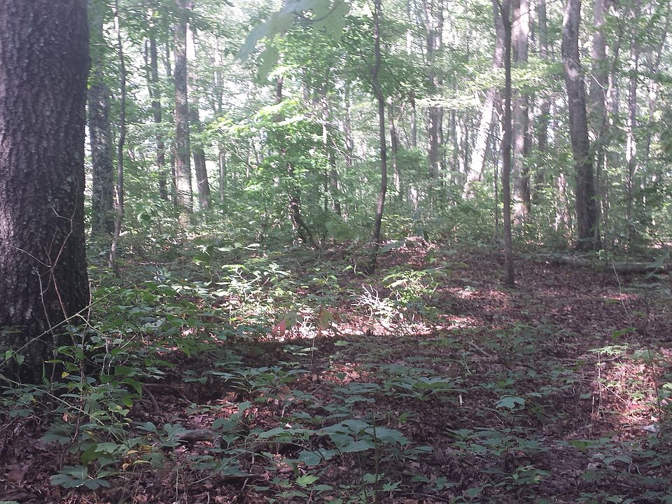 1st image of 9095 Wolf Branch Ln