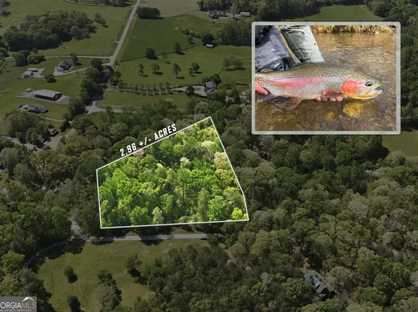 3 Fenwick Wood, Clarkesville, GA 30523