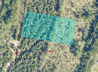 L26 Big Salchaket Trl, Salcha, AK 99714