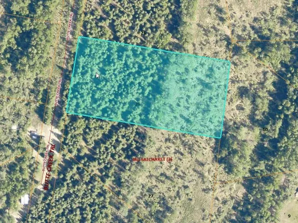 L26 Big Salchaket Trl, Salcha, AK 99714