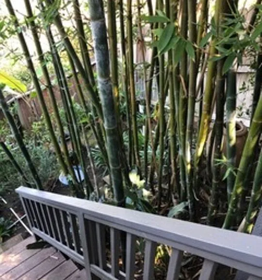 7287 Pacific View Dr — Photo 24