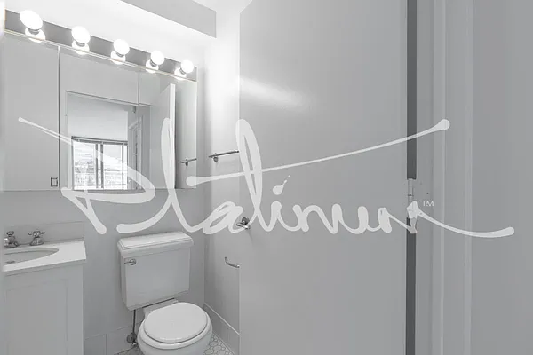 Rented by Platinum Properties | media 8