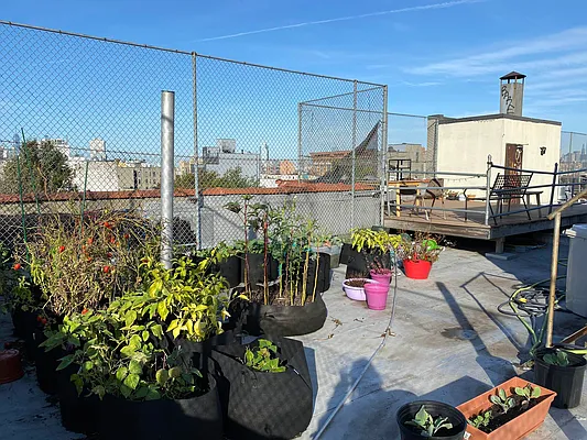 Rented by MNS | media 27