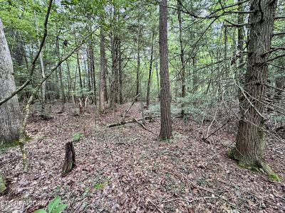 0 Banner Springs Rd, Jamestown, TN, 38556