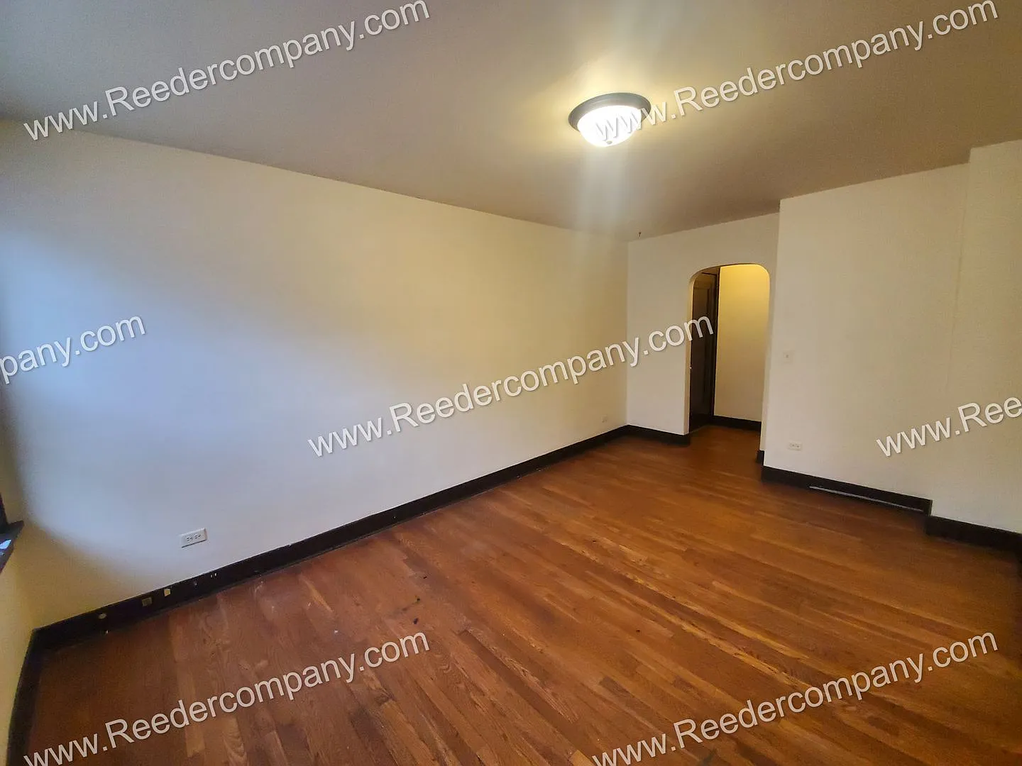 5 Waltham Street — Photo 3