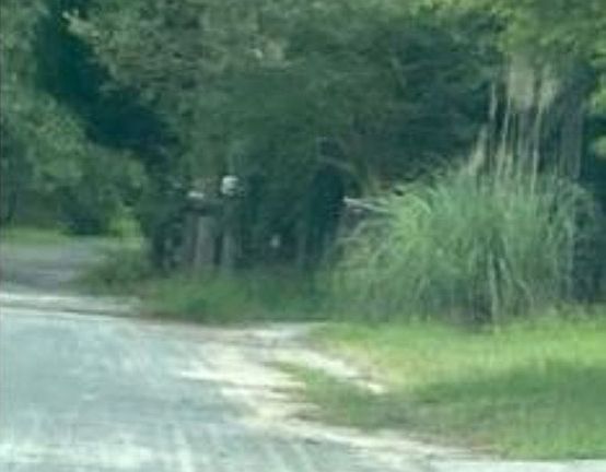 Exterior Neighborhood (street photo)