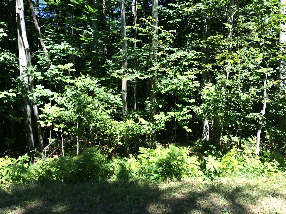 1st image of Beechwood Drive