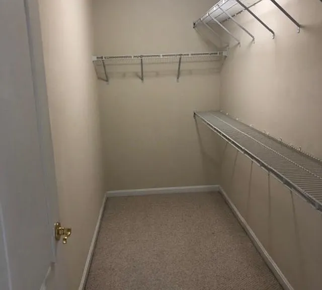 405 Dueling Way — Photo 12