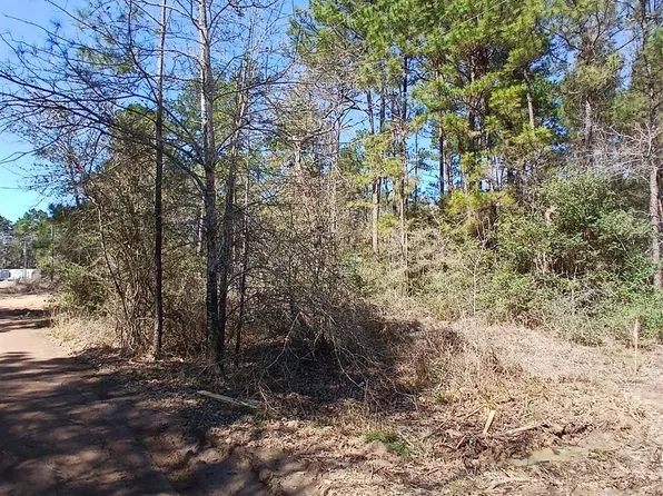 7886 Coral Bean Ln, Plantersville, TX 77363