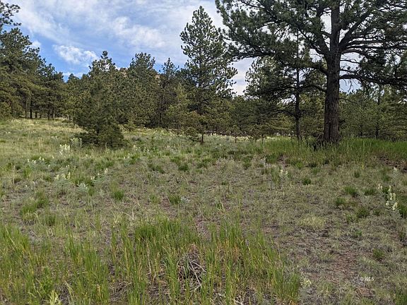 2nd image of 1499 Larkspur Ln