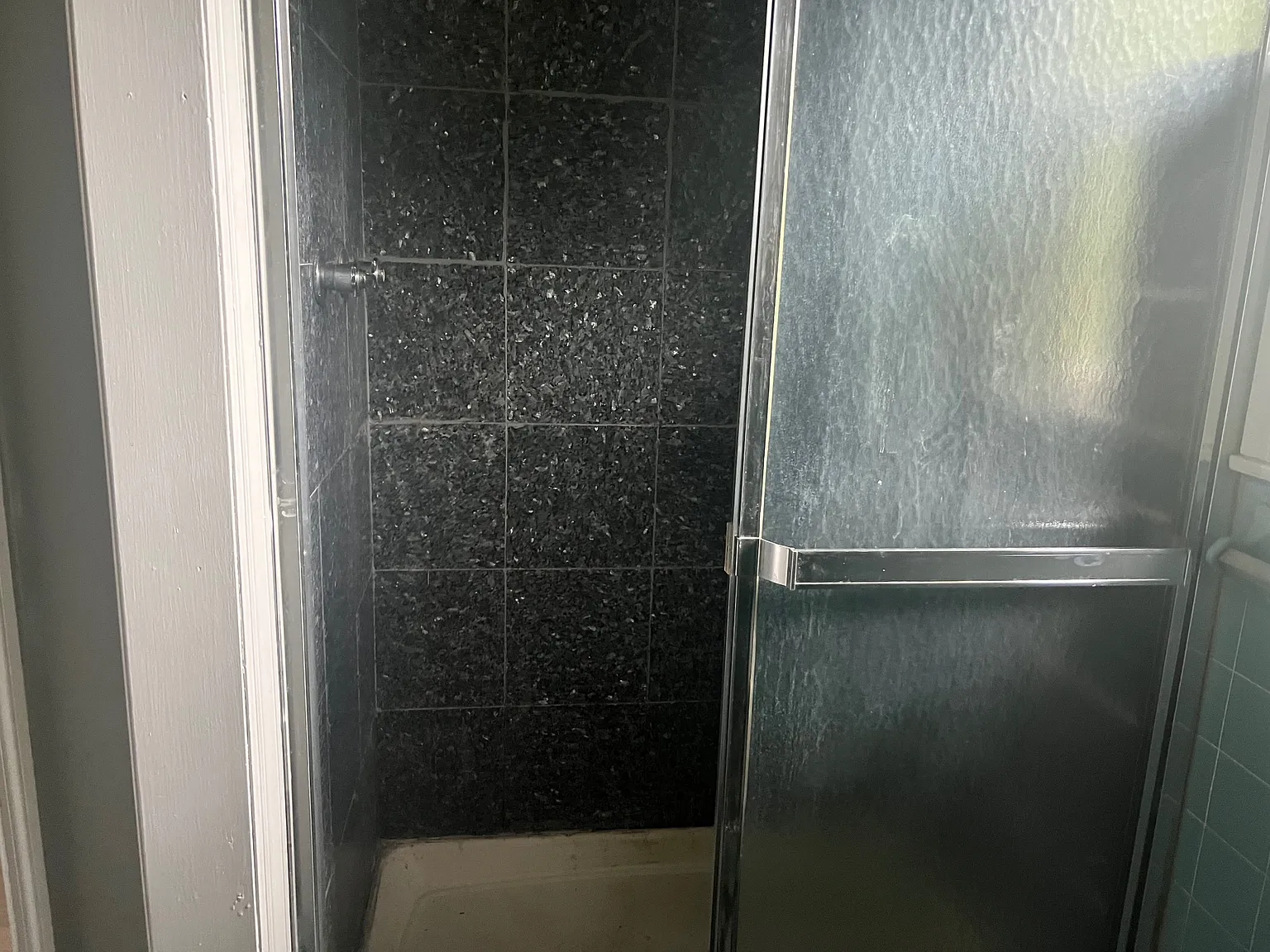 1 bed, 1000 sqft, $1,650 — Photo 3