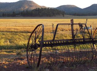 42734 Us Highway 180, Alpine, AZ 85920