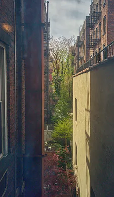 Rented by Owner | media 28