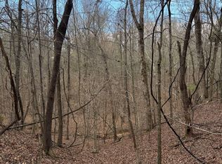 0 Macedonia Rd, Ackerman, MS 39735