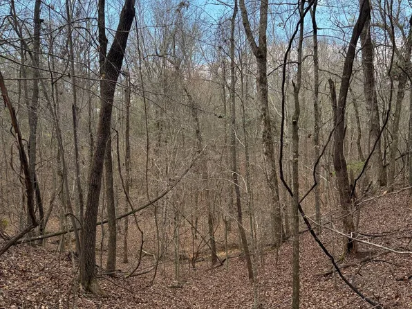 0 Macedonia Rd, Ackerman, MS 39735