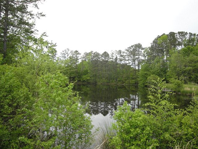 2nd image of 3.76 Acres Indian Town Road