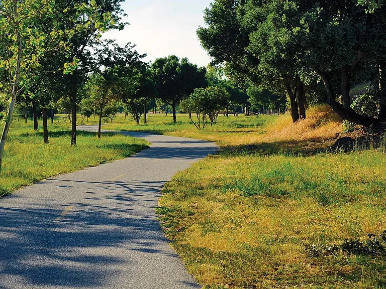 Relax at Santa Teresa Park and Basking Ridge Park just down the road