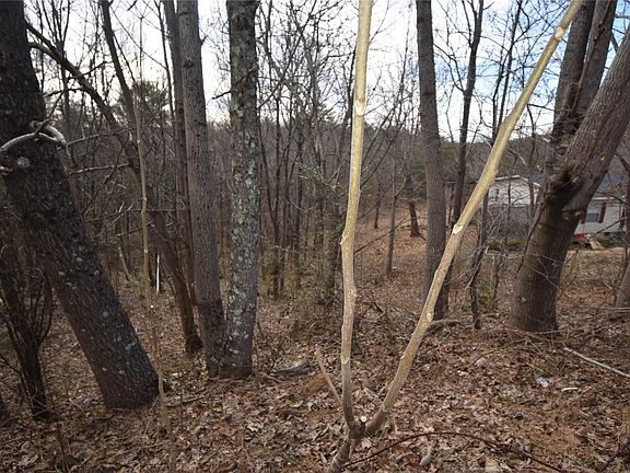 4th image of 2605 Ontario Ct