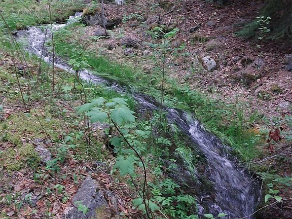 4th image of 5521 Boulder Mountain Rd