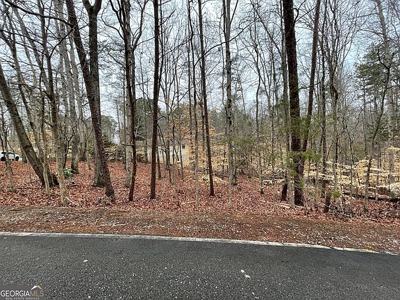 5th image of LOT 43 Chickasaw Dr